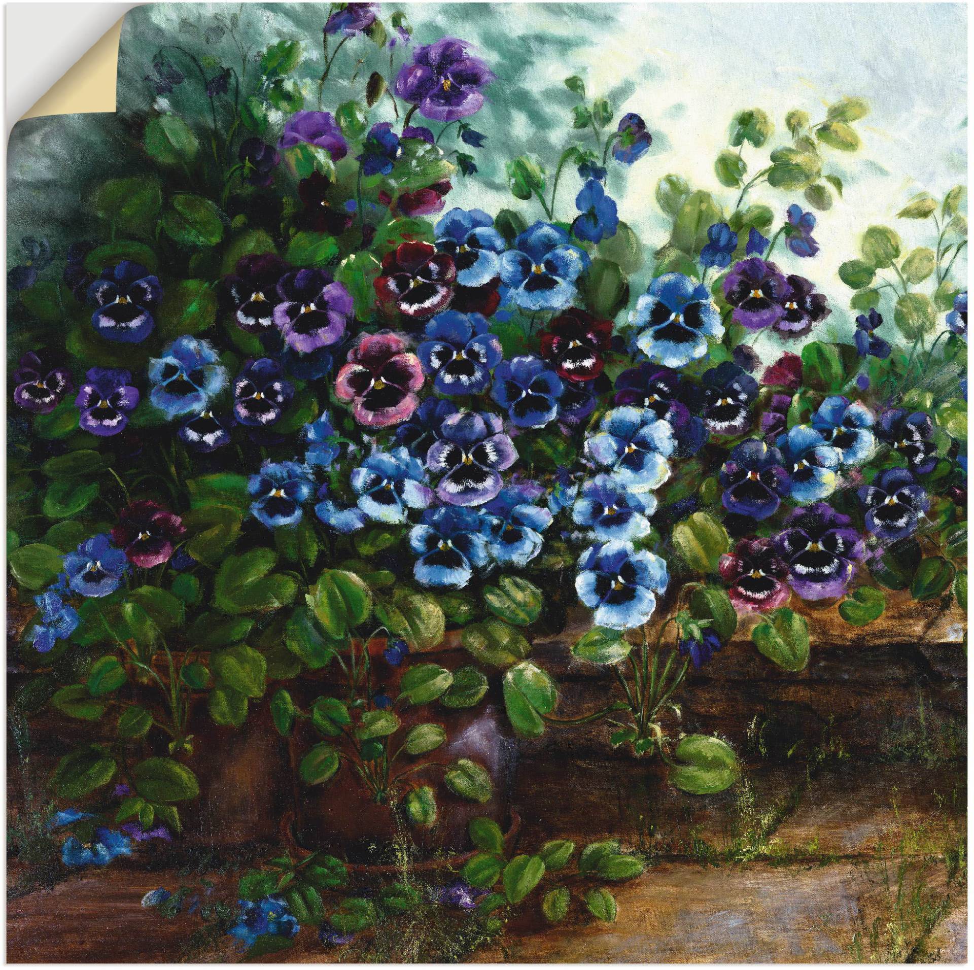 Artland Wandbild »Stiefmütterchen II«, Blumen, (1 St.), als Leinwandbild, Wandaufkleber in verschied. Grössen von Artland