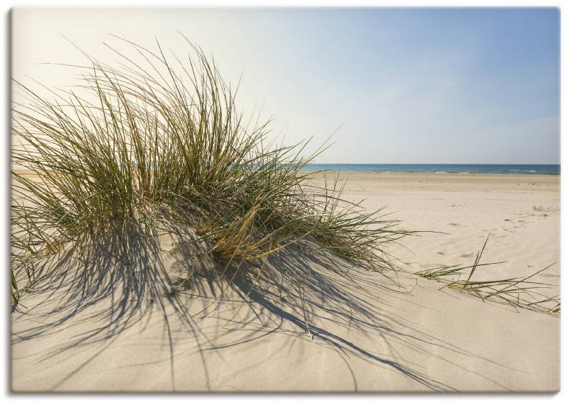 Artland Wandbild »Strandgras«, Küste, (1 St.), als Alubild, Outdoorbild, Leinwandbild, Poster, Wandaufkleber von Artland