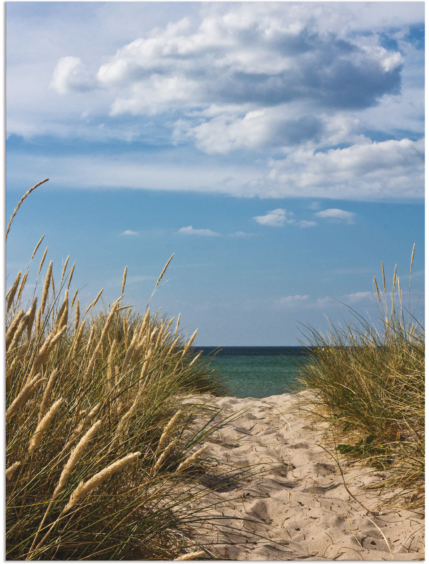 Artland Wandbild »Strandzugang an der Ostsee - Dänemark 9«, Strand, (1 St.), als Alubild, Outdoorbild in verschied. Grössen Artland Wandbild »Strandzugang an der Ostsee - Dänemark 9«, Strand, (1 St.), als Alubild, Outdoorbild in verschied. Grössen von Artland