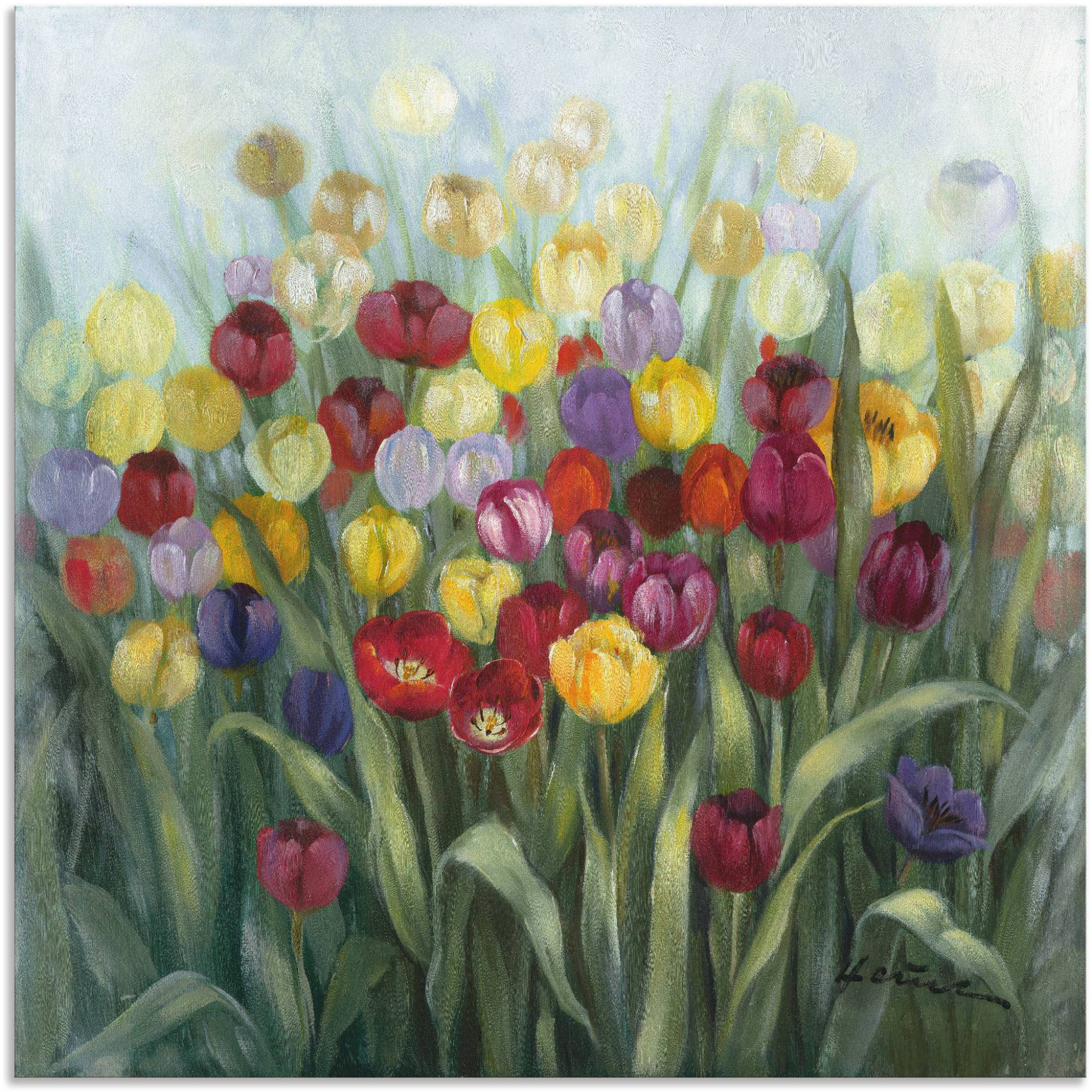 Artland Wandbild »Tulpenwiese II«, Blumenwiese, (1 St.), als Alubild, Outdoorbild, Leinwandbild, Poster in verschied. Grössen von Artland