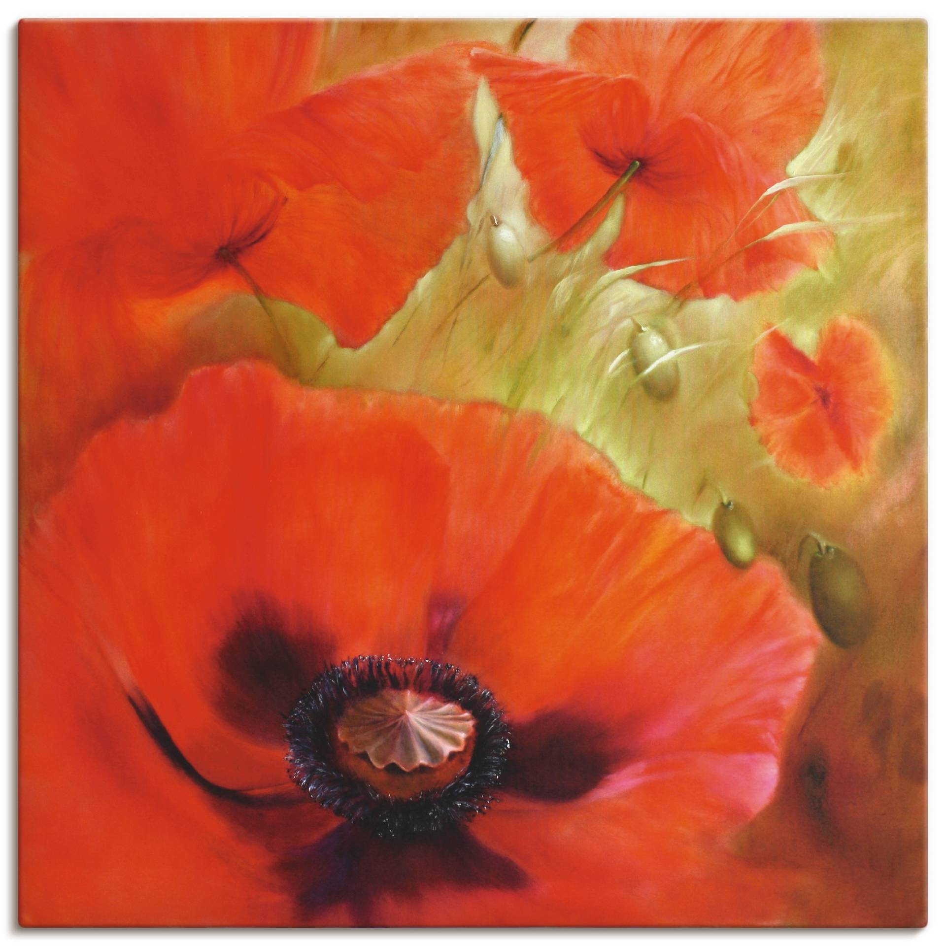 Artland Wandbild »Vier mal Mohn«, Blumen, (1 St.), als Alubild, Leinwandbild, Wandaufkleber oder Poster in versch. Grössen von Artland