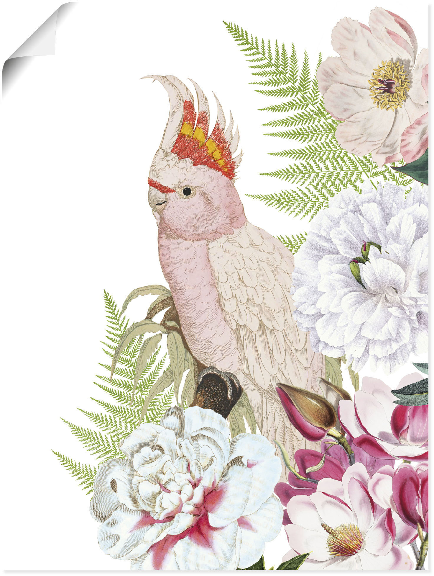 Artland Wandbild »Vintage Papagei II«, Vogelbilder, (1 St.), als Leinwandbild, Poster, Wandaufkleber in verschied. Grössen von Artland