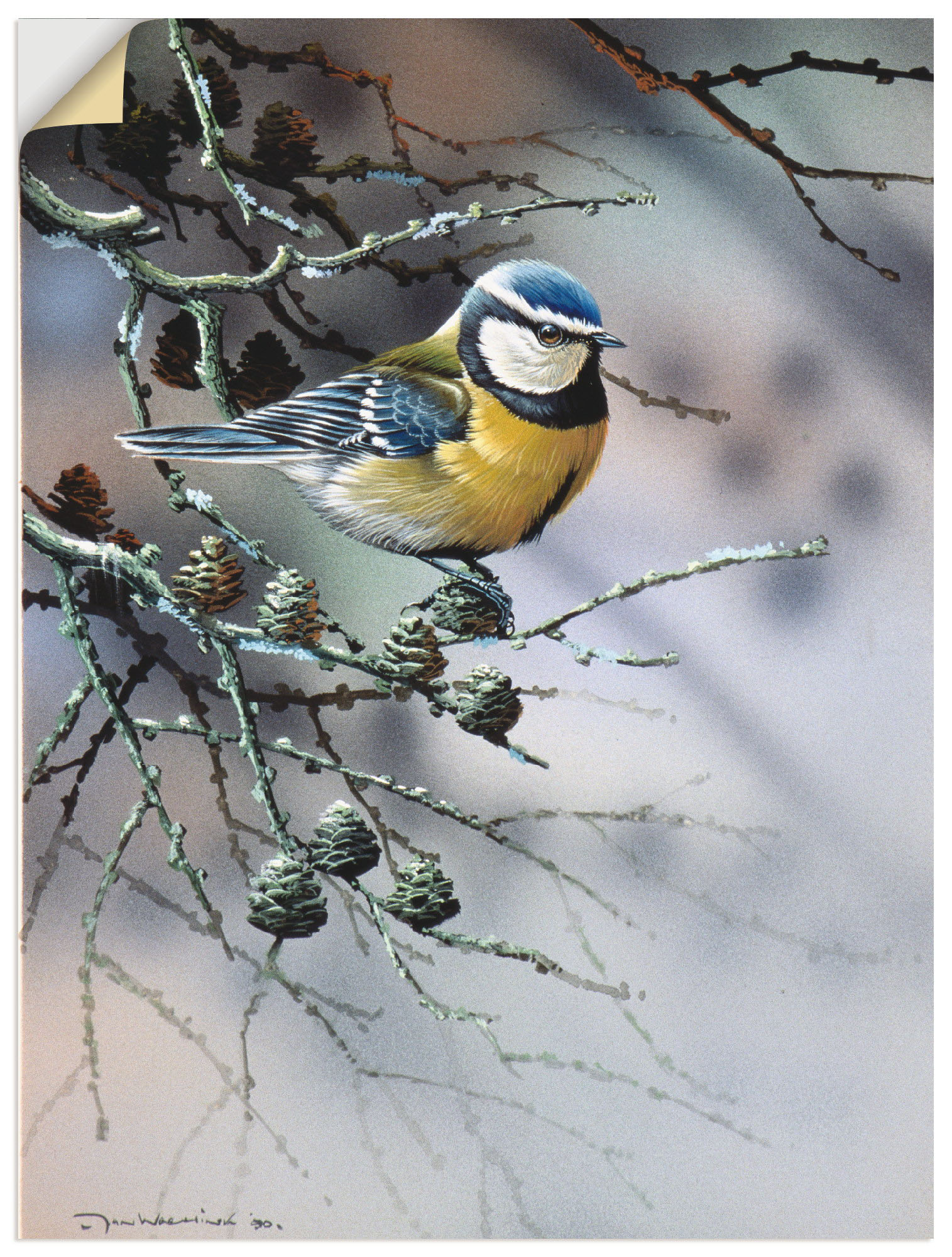 Artland Wandbild »Vogel im Tannenbaum«, Vögel, (1 St.), als Leinwandbild, Wandaufkleber oder Poster in versch. Grössen von Artland