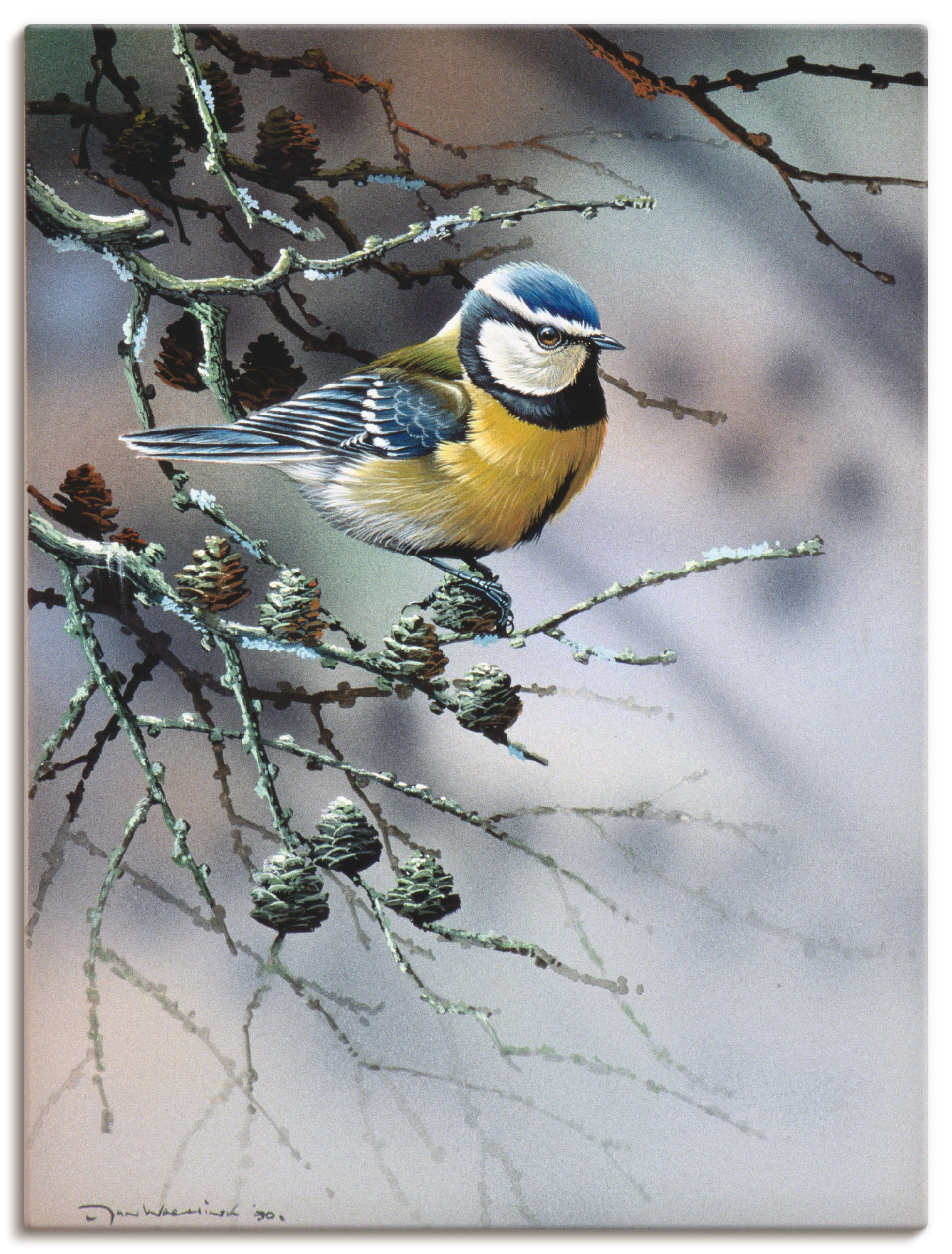 Artland Wandbild »Vogel im Tannenbaum«, Vögel, (1 St.), als Leinwandbild, Wandaufkleber oder Poster in versch. Grössen von Artland