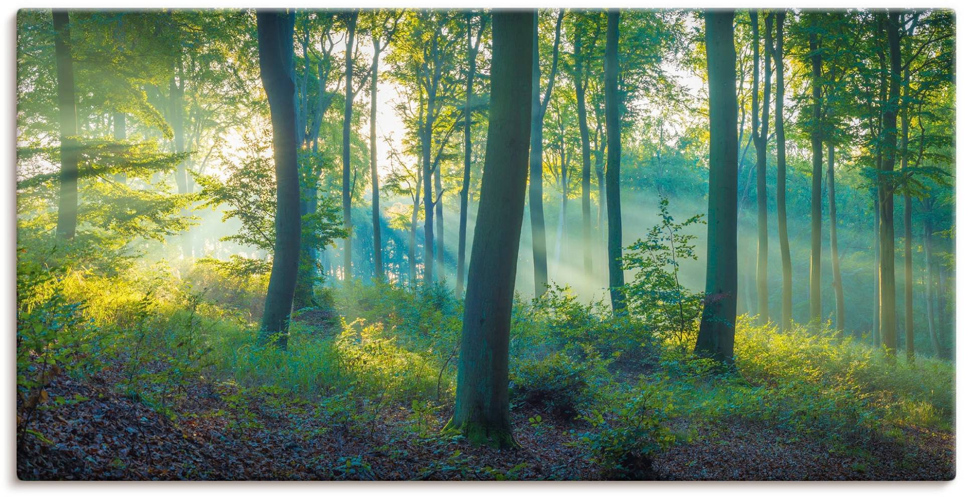 Artland Wandbild »Wald Panorama«, Waldbilder, (1 St.), als Alubild, Outdoorbild, Leinwandbild, Poster, Wandaufkleber von Artland