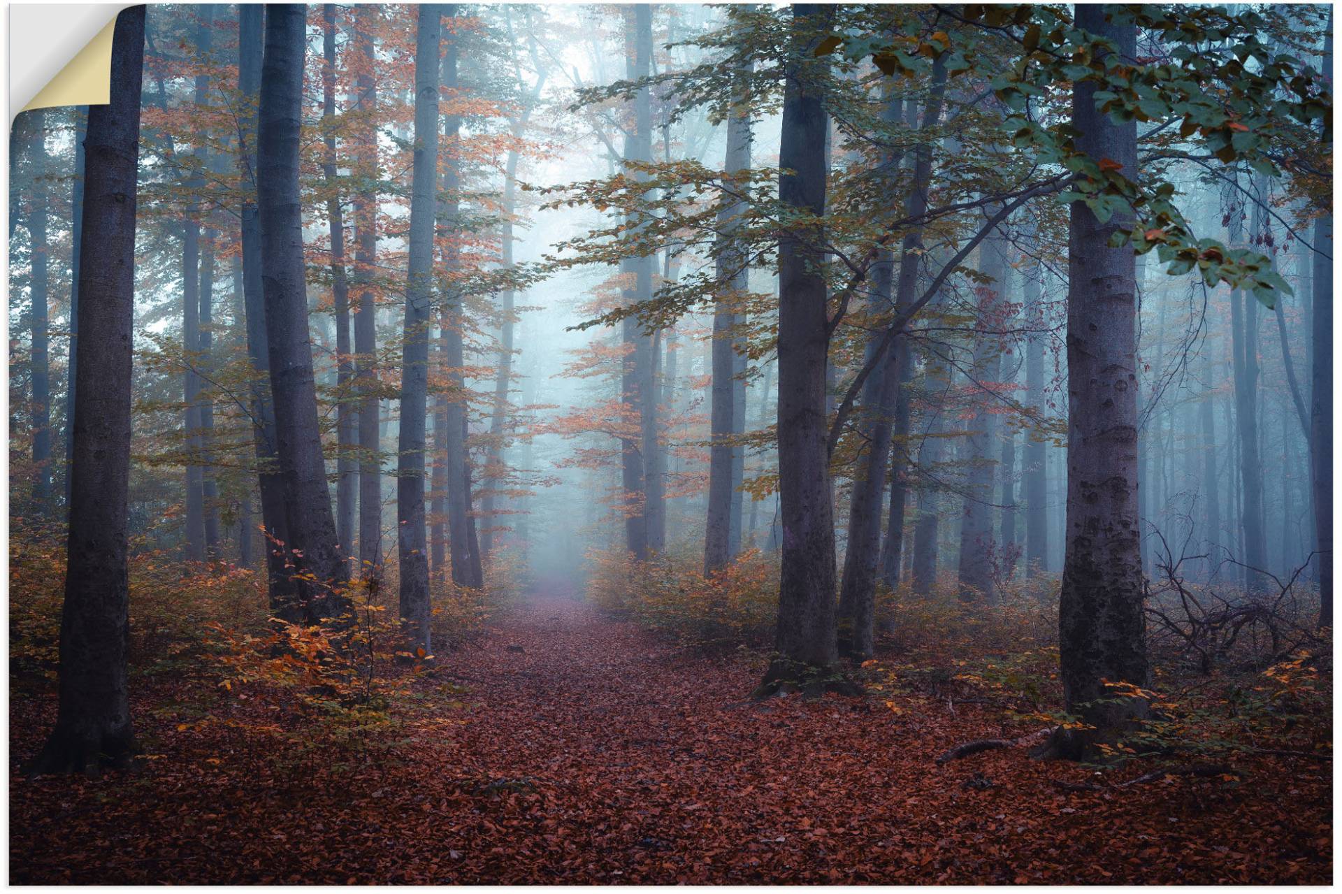 Artland Wandbild »Wald im Nebel«, Waldbilder, (1 St.), als Alubild, Outdoorbild in verschied. Grössen von Artland