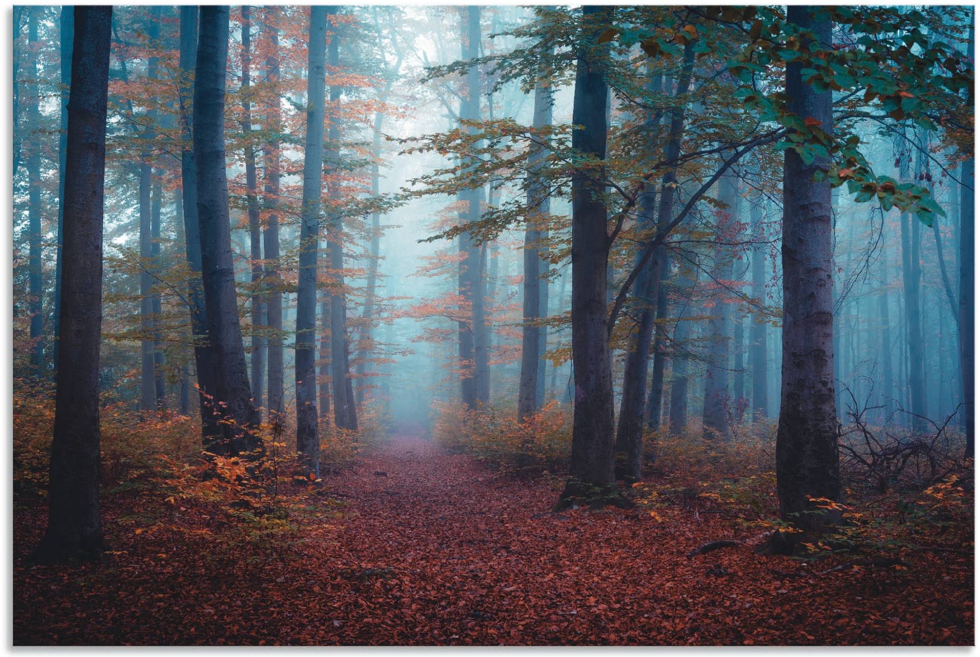 Artland Wandbild »Wald im Nebel«, Waldbilder, (1 St.), als Alubild, Outdoorbild in verschied. Grössen von Artland