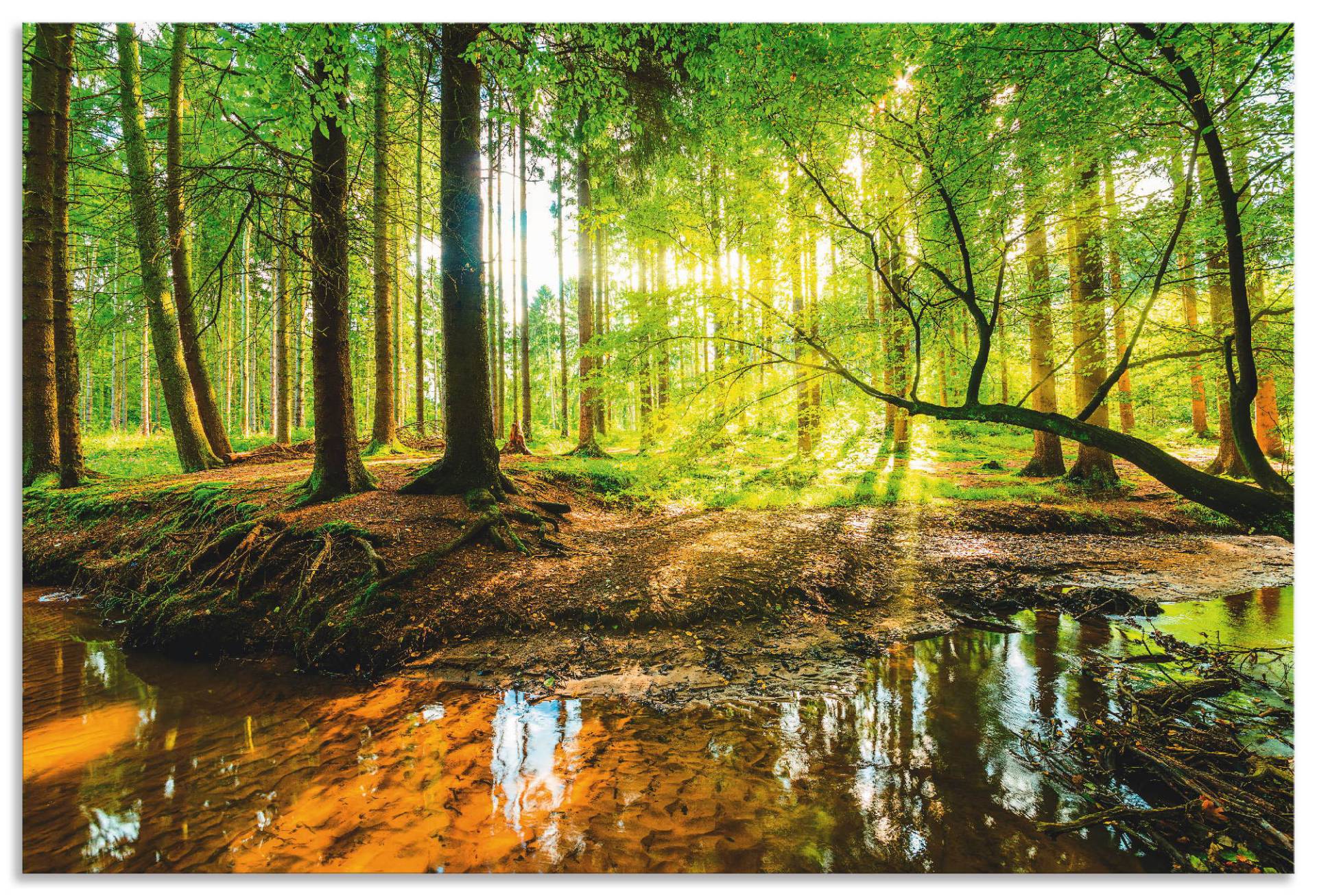 Artland Wandbild »Wald mit Bach«, Wald, (1 St.), als Alubild, Outdoorbild, Leinwandbild, Poster, Wandaufkleber von Artland