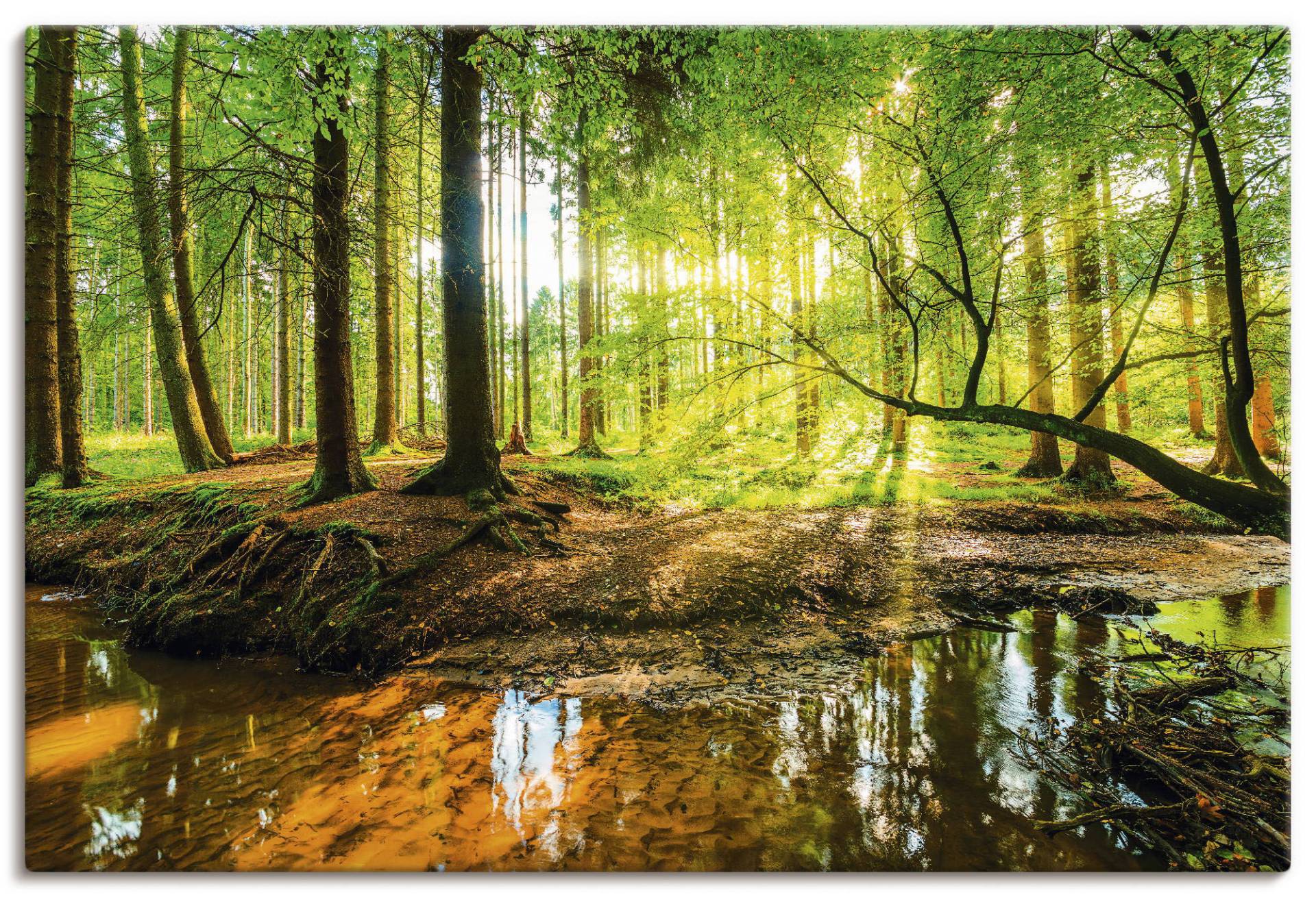 Artland Wandbild »Wald mit Bach«, Wald, (1 St.), als Alubild, Outdoorbild, Leinwandbild, Poster, Wandaufkleber von Artland