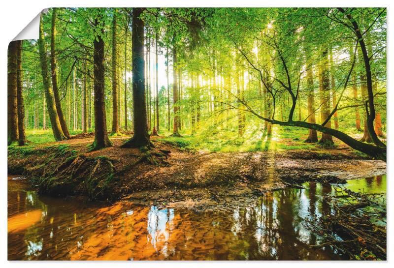 Artland Wandbild »Wald mit Bach«, Wald, (1 St.), als Alubild, Outdoorbild, Leinwandbild, Poster, Wandaufkleber von Artland