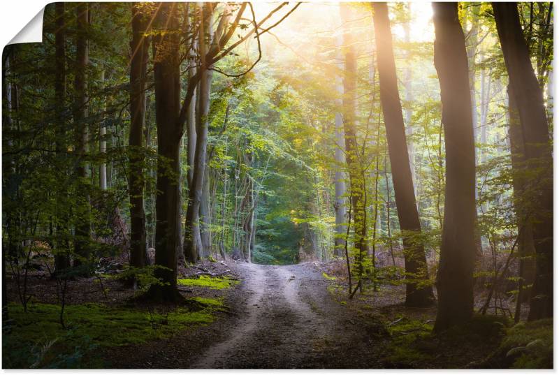 Artland Wandbild »Waldweg im Licht«, Waldbilder, (1 St.), als Alubild, Leinwandbild, Wandaufkleber oder Poster in versch. Grössen von Artland