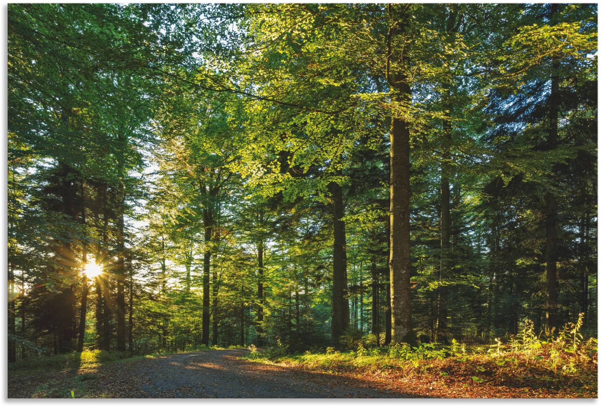 Artland Wandbild »Waldweg im Romantischen Schwarzwald«, Waldbilder, (1 St.), als Alubild, Outdoorbild, Leinwandbild, Wandaufkleber, versch. Grössen von Artland