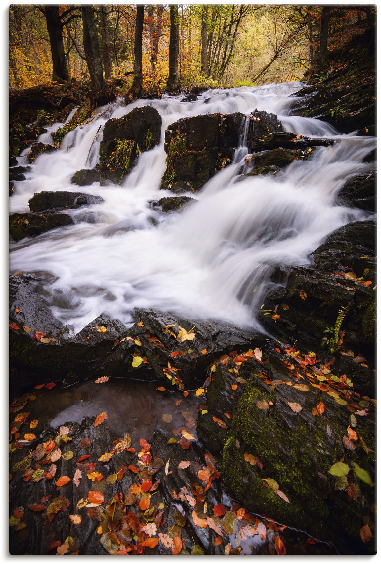 Artland Wandbild »Wasserfall im Herbst«, Wasserfallbilder, (1 St.), als Alubild, Leinwandbild, Wandaufkleber oder Poster in versch. Grössen von Artland