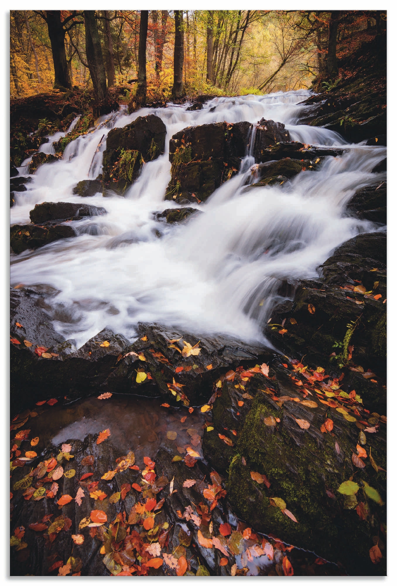 Artland Wandbild »Wasserfall im Herbst«, Wasserfallbilder, (1 St.), als Alubild, Leinwandbild, Wandaufkleber oder Poster in versch. Grössen von Artland