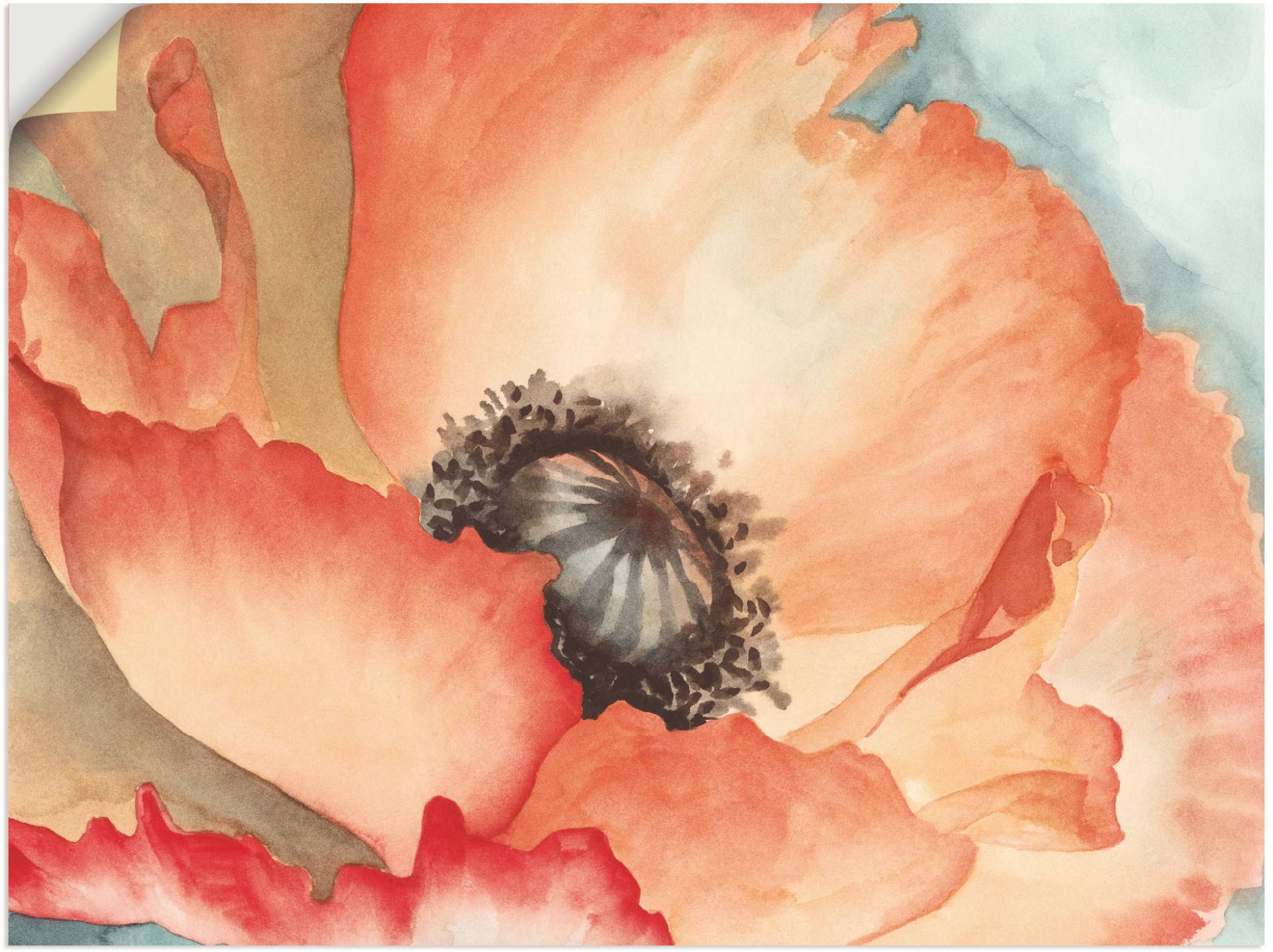 Artland Wandbild »Wasserfarben Mohn II«, Blumen, (1 St.), als Leinwandbild in verschied. Grössen von Artland