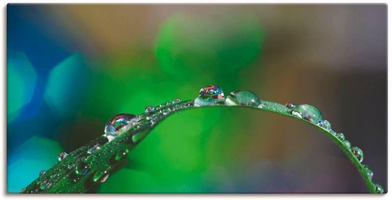 Artland Leinwandbild »Wassertropfen IV«, Gräser, (1 St.), auf Keilrahmen gespannt von Artland