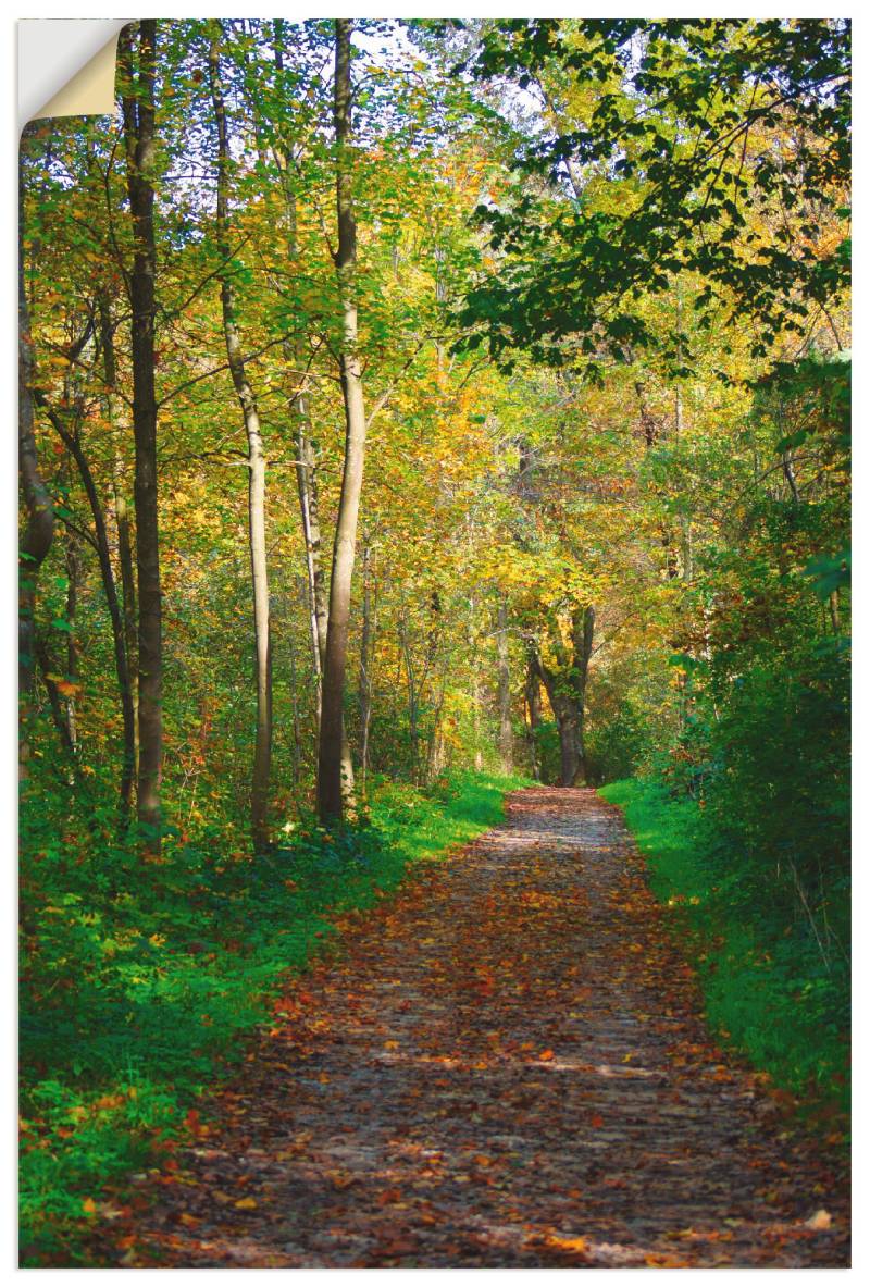 Artland Wandbild »Weg im Herbst Wald«, Wald, (1 St.), als Poster, Wandaufkleber in verschied. Grössen von Artland