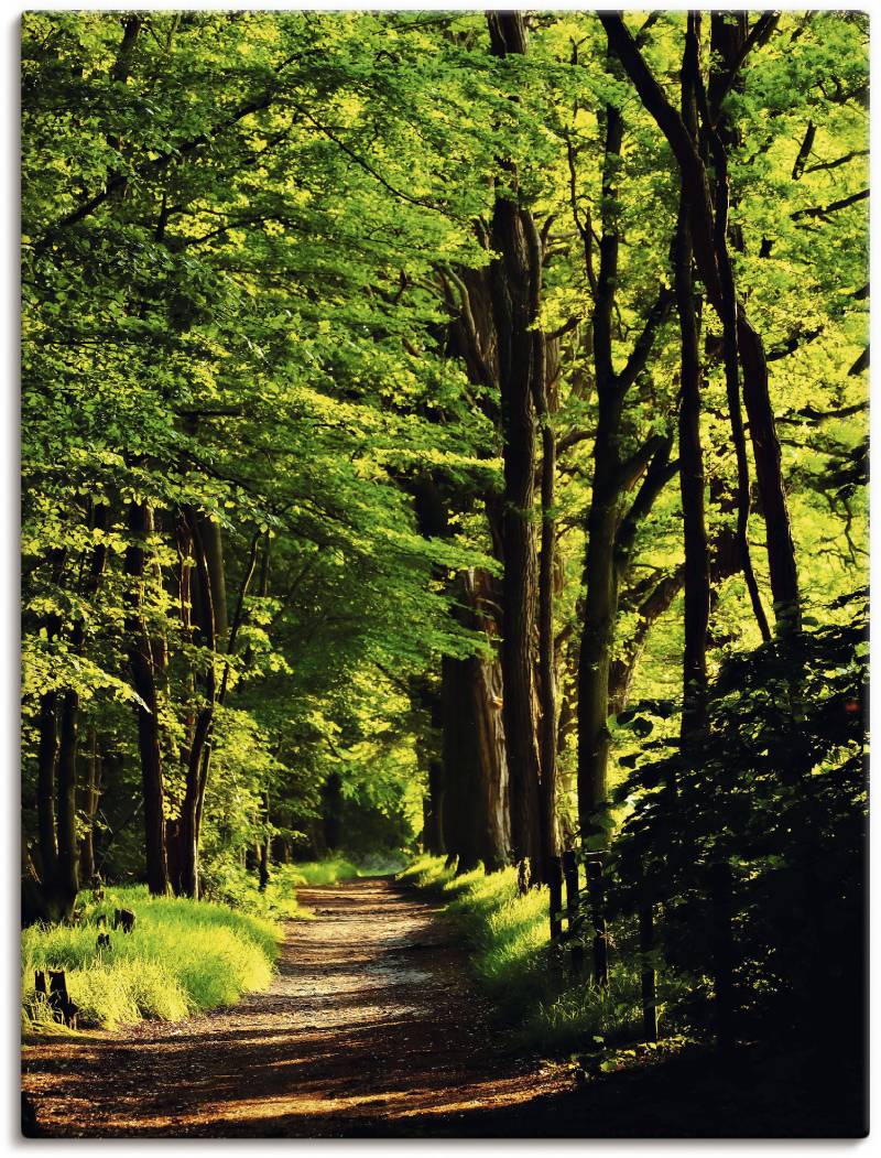 Artland Wandbild »Weg im Wald«, Wald, (1 St.), als Alubild, Outdoorbild, Leinwandbild, Poster in verschied. Grössen von Artland