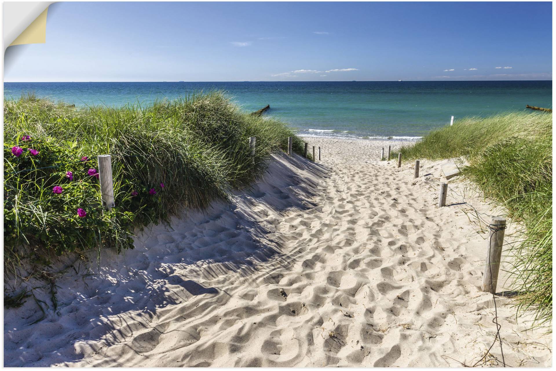 Artland Wandbild »Weg zum Strand an der Ostsee«, Strandbilder, (1 St.), als Alubild, Outdoorbild, Leinwandbild, Poster, Wandaufkleber von Artland