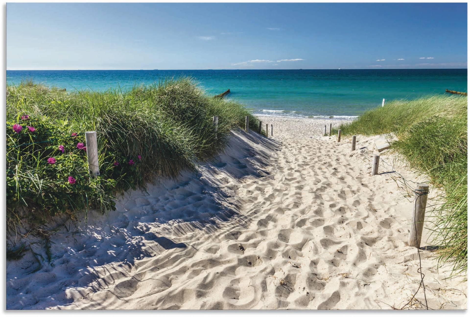 Artland Wandbild »Weg zum Strand an der Ostsee«, Strandbilder, (1 St.), als Alubild, Outdoorbild, Leinwandbild, Poster, Wandaufkleber von Artland