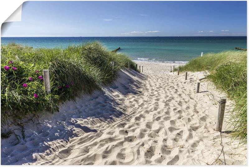 Artland Wandbild »Weg zum Strand an der Ostsee«, Strandbilder, (1 St.), als Alubild, Outdoorbild, Leinwandbild, Poster, Wandaufkleber von Artland