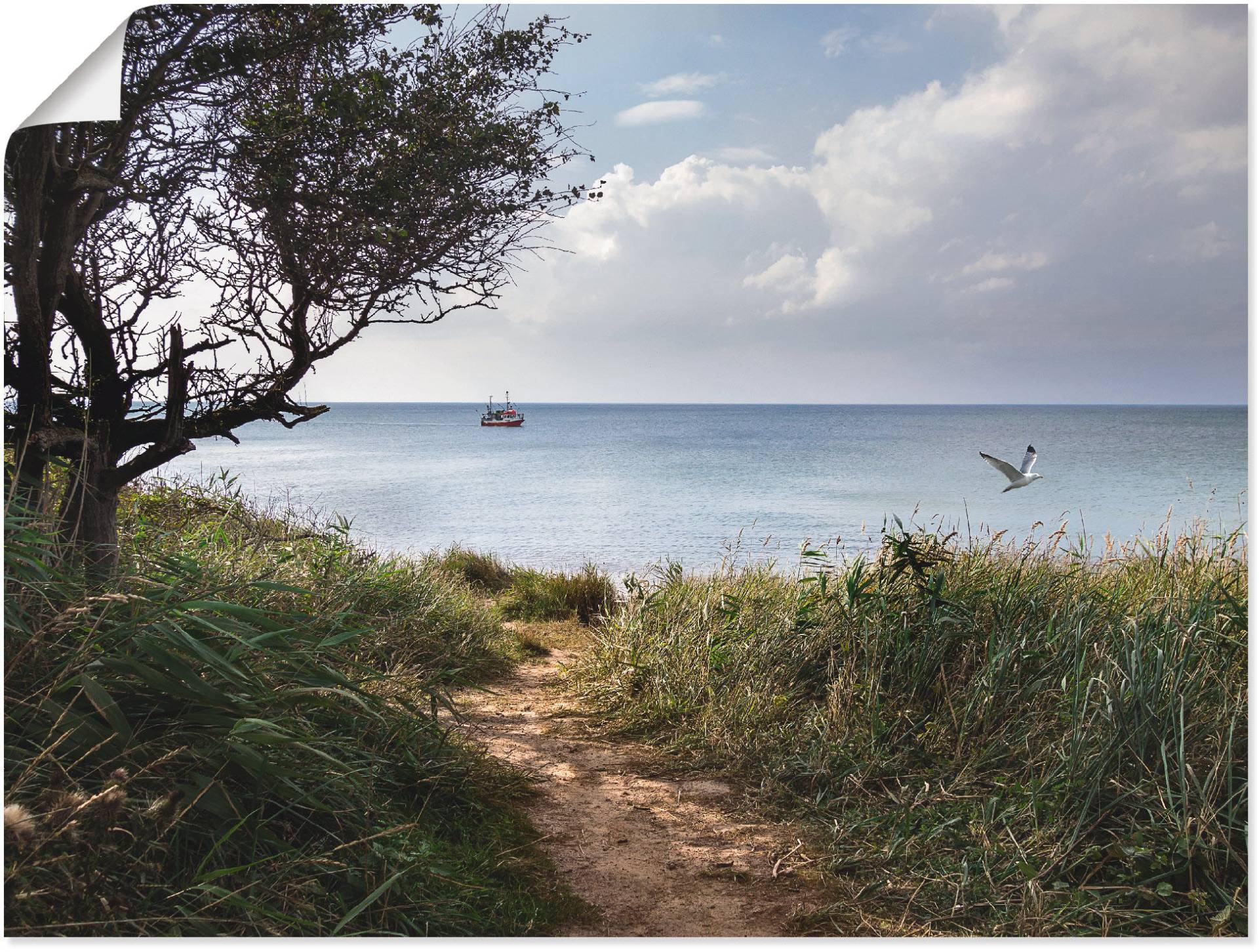 Artland Wandbild »Wege zum Meer....«, Gewässer, (1 St.), als Leinwandbild, Poster in verschied. Grössen von Artland