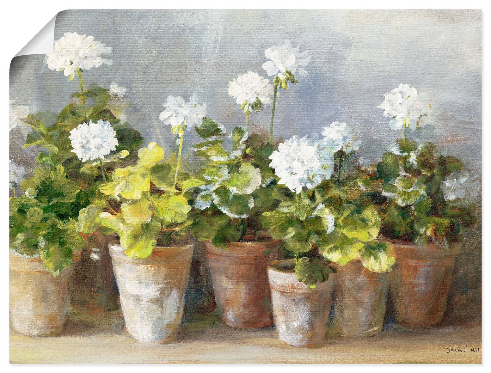 Artland Wandbild »Weisse Geranien«, Blumen, (1 St.), als Leinwandbild, Poster in verschied. Grössen von Artland