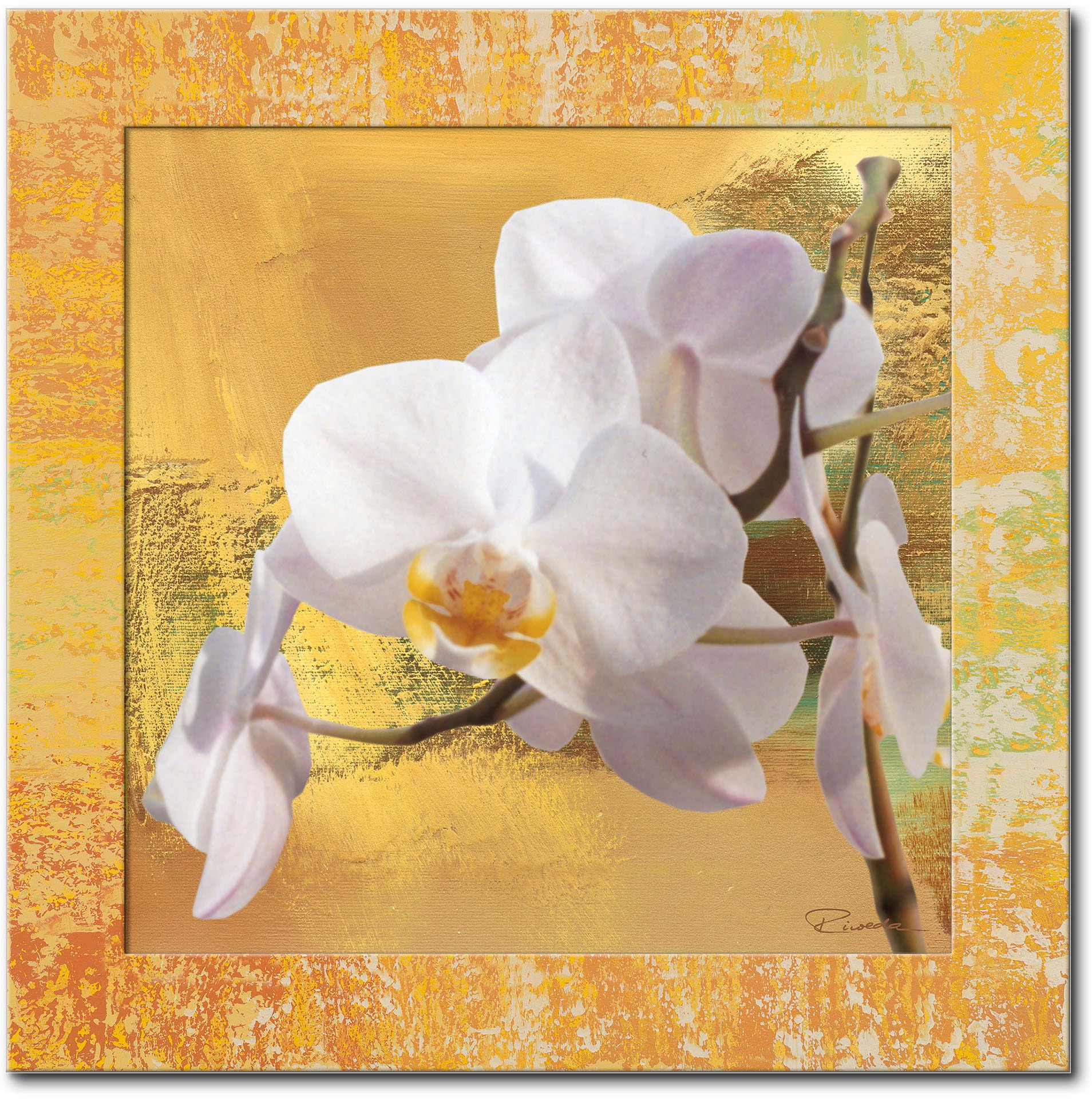 Artland Wandbild »Weisse Orchidee I«, Blumen, (1 St.) von Artland