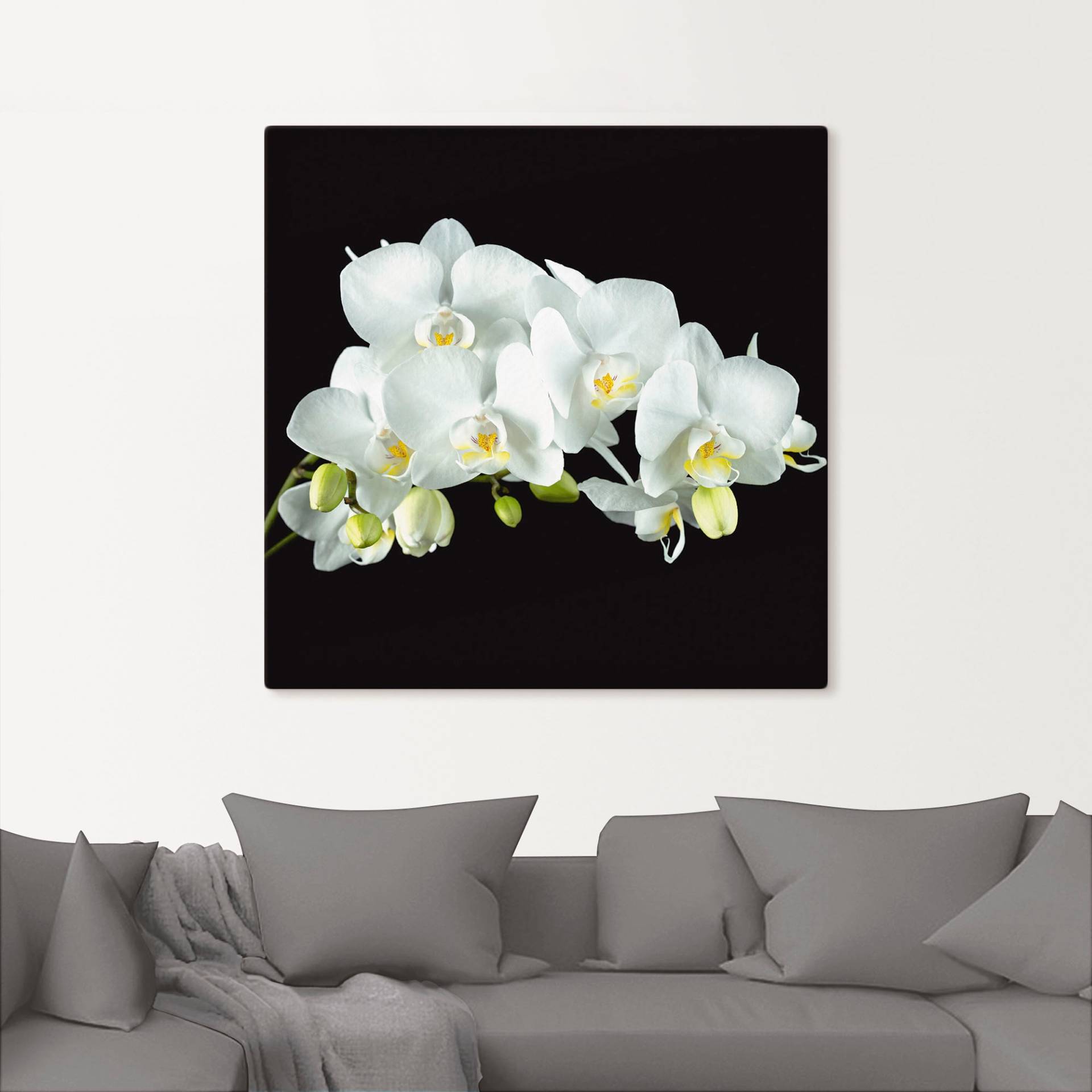 Artland Wandbild »Weisse Orchidee auf schwarzem Hintergrund«, Blumen, (1 St.), als Leinwandbild, Poster, Wandaufkleber in verschied. Grössen von Artland