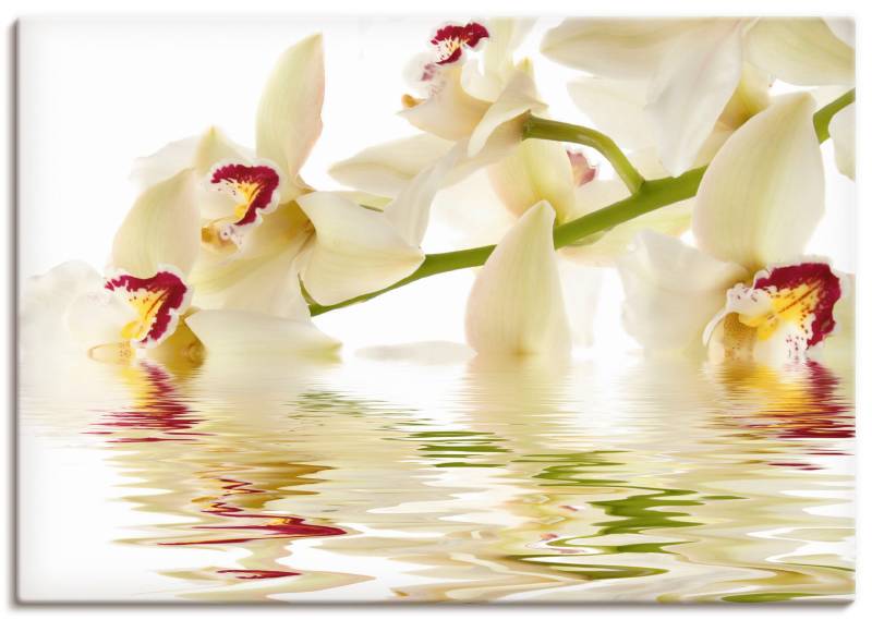 Artland Wandbild »Weisse Orchidee mit Wasserreflektion«, Blumen, (1 St.), als Leinwandbild, Poster in verschied. Grössen von Artland