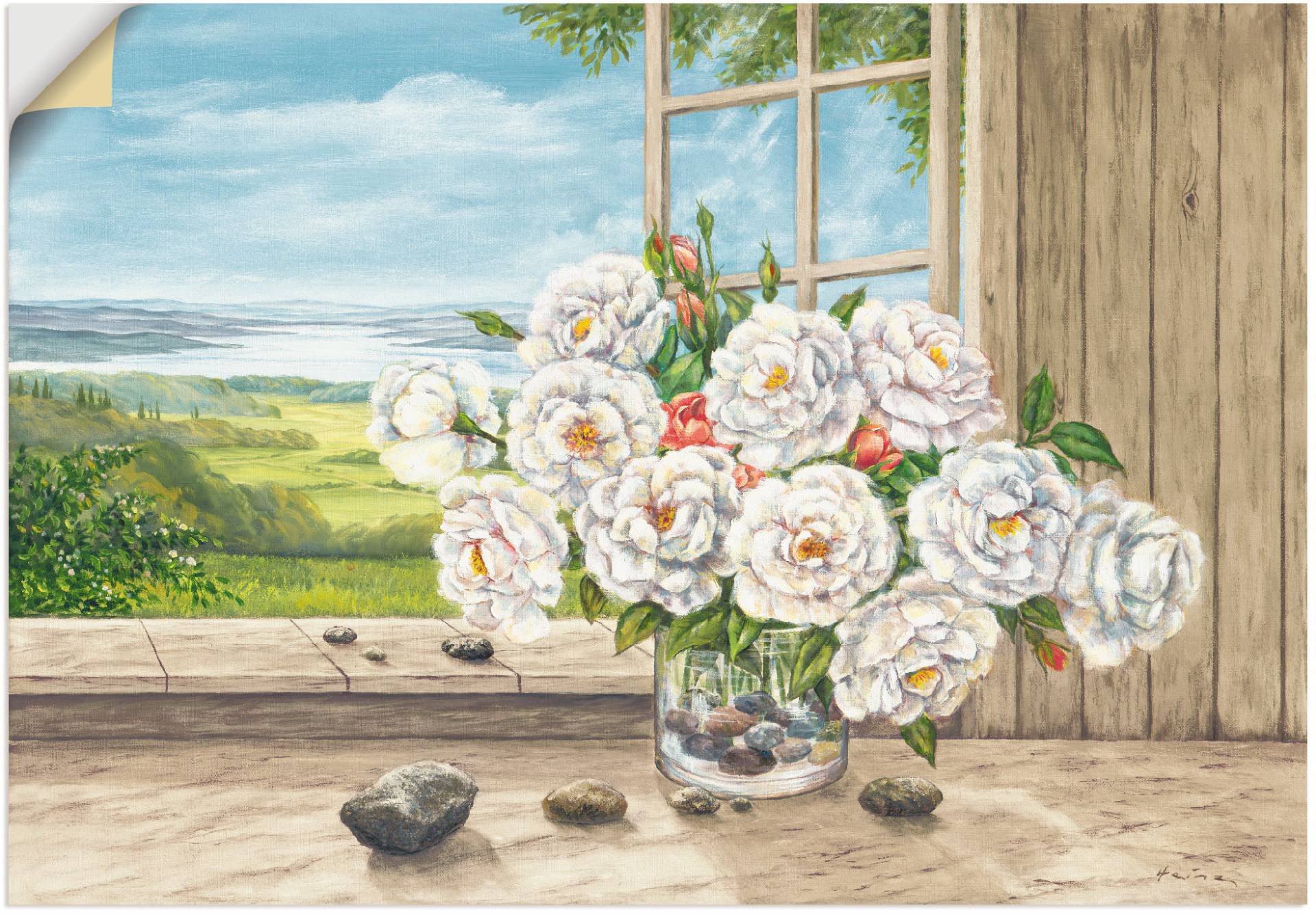 Artland Wandbild »Weisse Rosen am Fenster«, Blumen, (1 St.), als Alubild, Leinwandbild, Wandaufkleber oder Poster in versch. Grössen von Artland