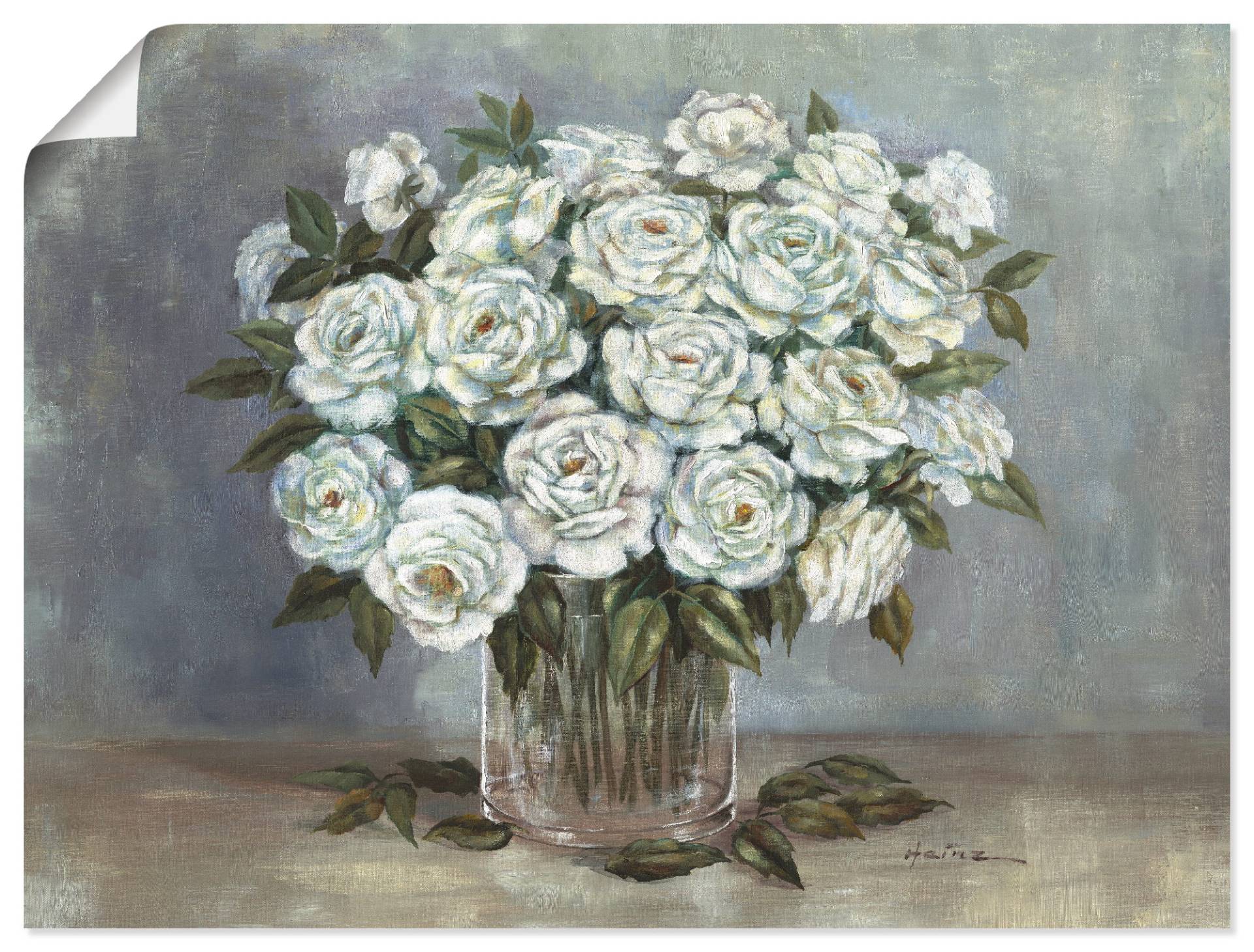 Artland Wandbild »Weisse Rosen«, Blumen, (1 St.), als Leinwandbild, Poster in verschied. Grössen von Artland