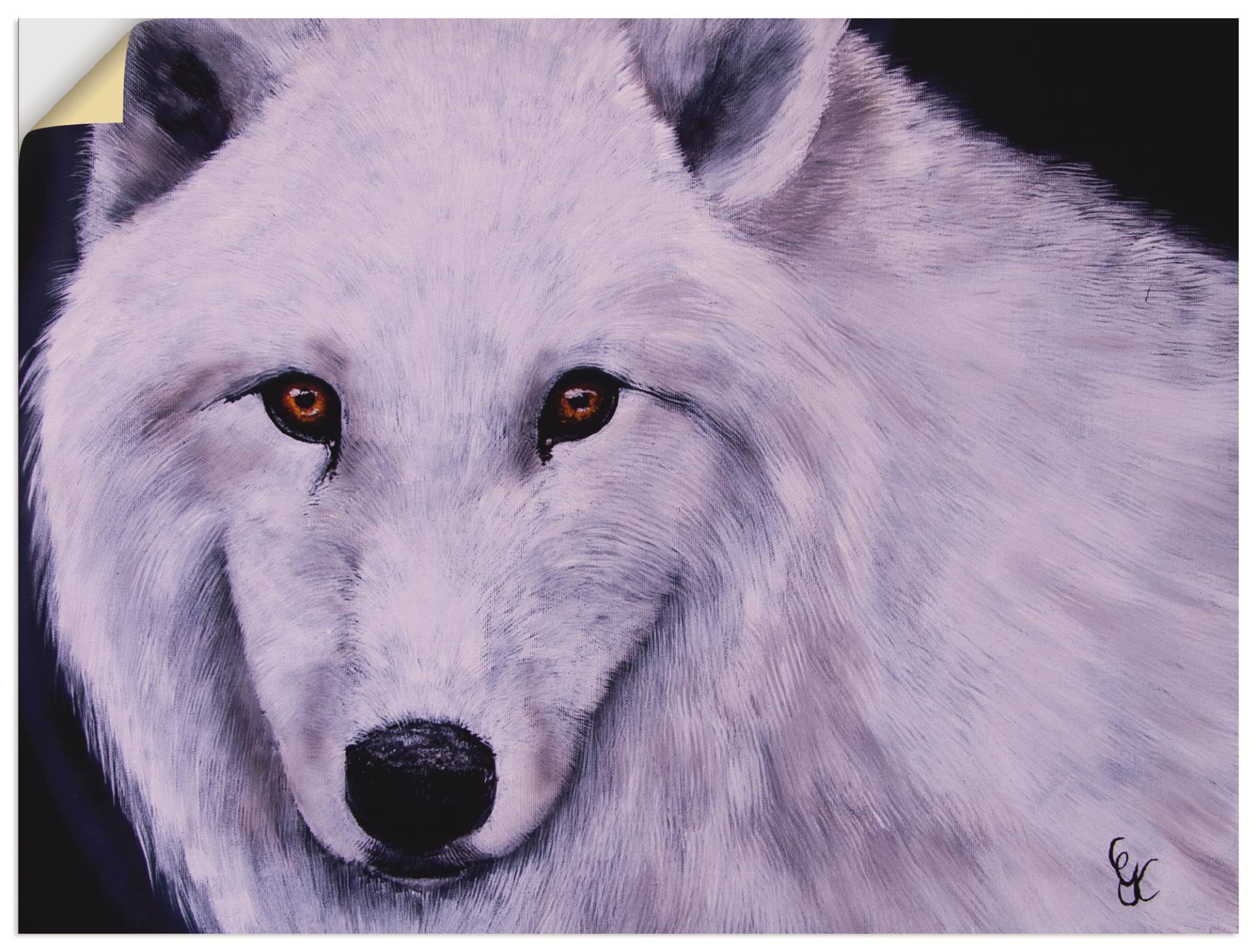 Artland Wandfolie »Weisser Wolf«, Wildtiere, (1 St.), selbstklebend von Artland