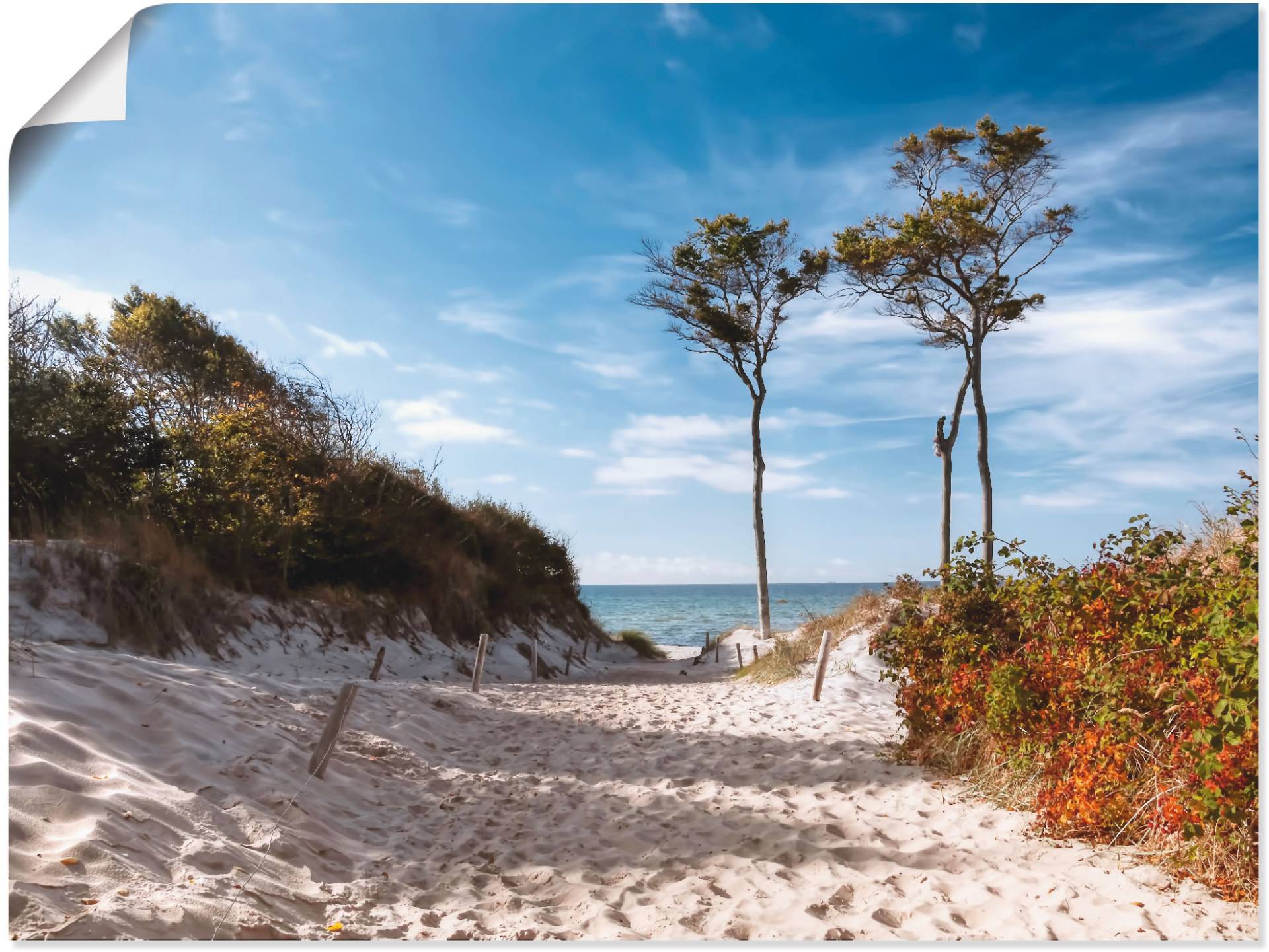 Artland Wandbild »Weststrand Darss«, Strand, (1 St.), als Leinwandbild, Poster, Wandaufkleber in verschied. Grössen von Artland