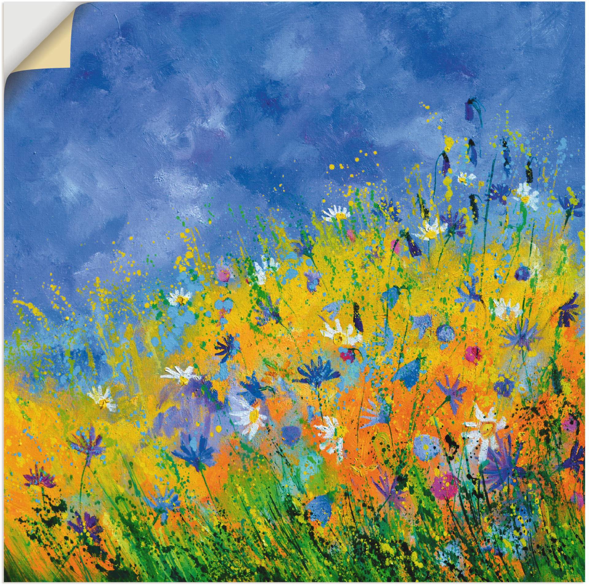 Artland Wandbild »Wildblumen«, Blumenwiese, (1 St.), als Leinwandbild, Wandaufkleber in verschied. Grössen von Artland