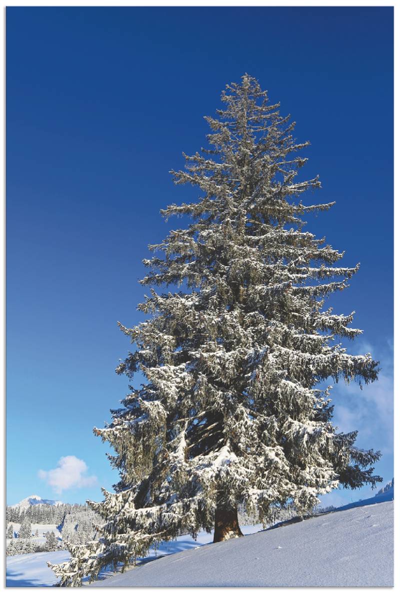 Artland Wandbild »Winterlandschaft im Allgäu«, Bäume, (1 St.), als Alubild, Leinwandbild, Wandaufkleber oder Poster in versch. Grössen von Artland