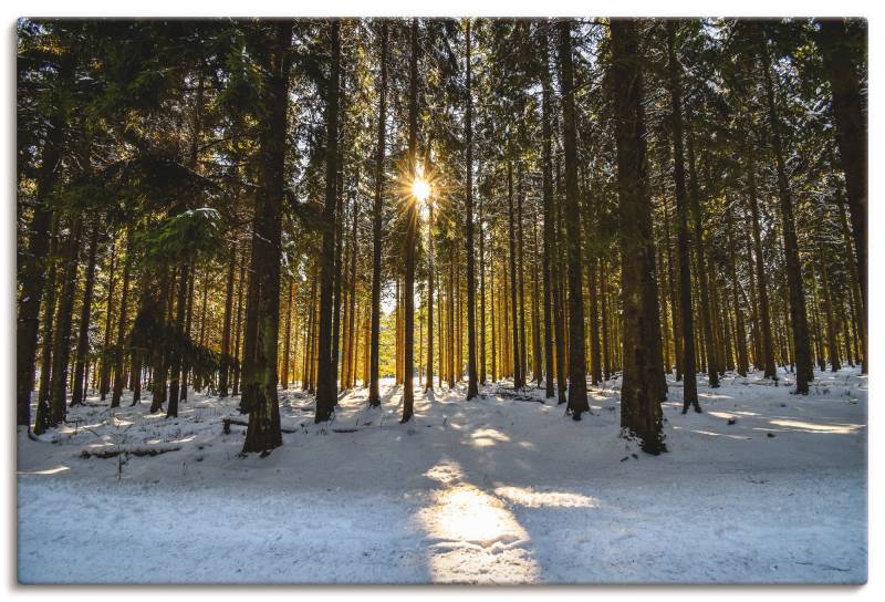 Artland Wandbild »Wintersonne«, Wald, (1 St.), als Alubild, Leinwandbild, Wandaufkleber oder Poster in versch. Grössen von Artland