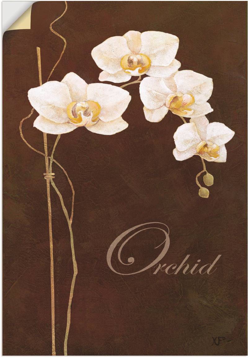 Artland Wandbild »Zarte Orchidee«, Blumen, (1 St.), als Leinwandbild, Poster in verschied. Grössen von Artland