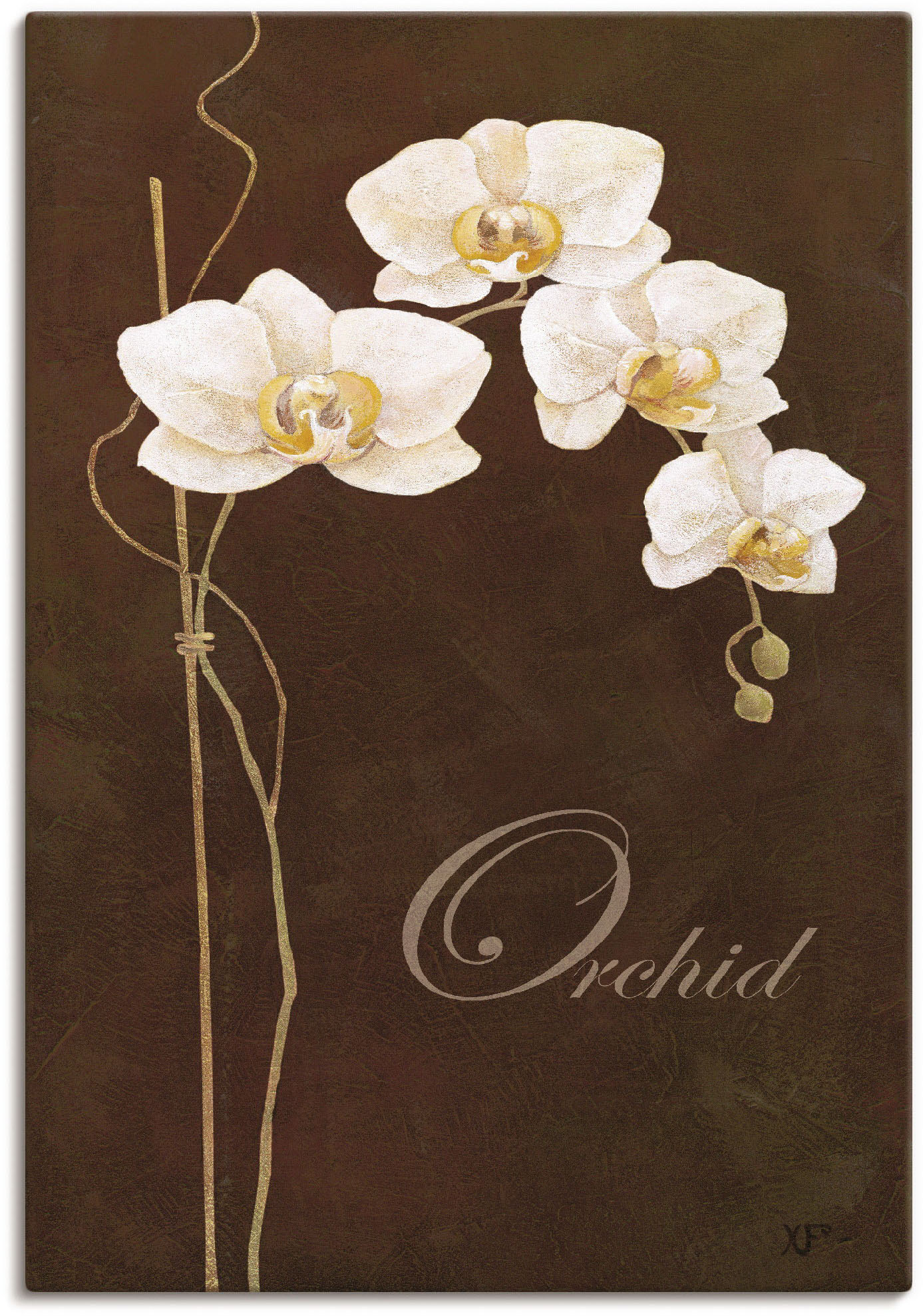 Artland Wandbild »Zarte Orchidee«, Blumen, (1 St.), als Leinwandbild, Poster in verschied. Grössen von Artland