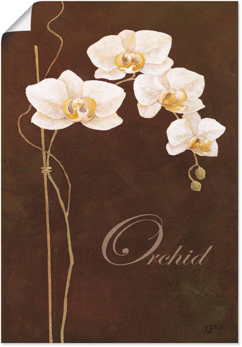 Artland Wandbild »Zarte Orchidee«, Blumen, (1 St.), als Leinwandbild, Poster in verschied. Grössen von Artland