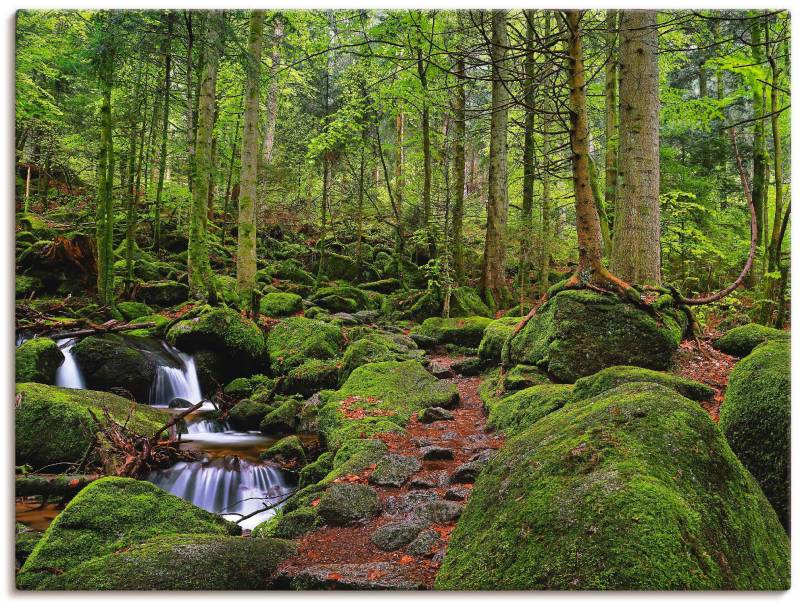 Artland Wandbild »Zauberwald«, Wald, (1 St.), als Leinwandbild, Poster in verschied. Grössen von Artland