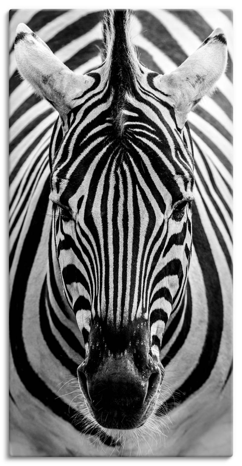 Artland Wandbild »Zebra«, Wildtiere, (1 St.), als Leinwandbild, Poster, Wandaufkleber in verschied. Grössen von Artland