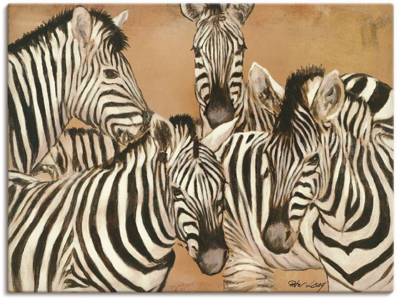 Artland Wandbild »Zebras«, Wildtiere, (1 St.), als Leinwandbild, Poster in verschied. Grössen von Artland