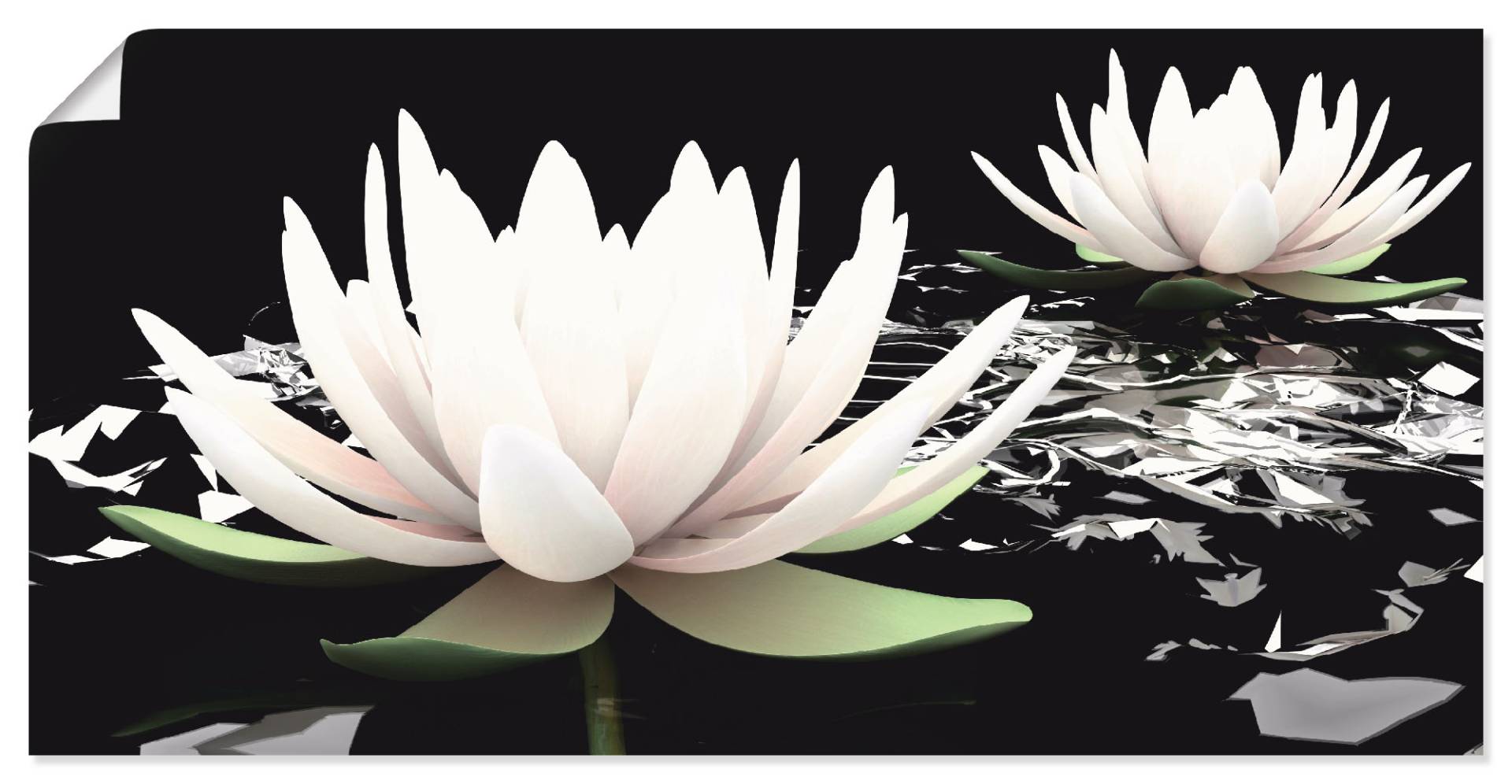 Artland Wandbild »Zwei Lotusblumen auf dem Wasser«, Blumen, (1 St.), als Alubild, Outdoorbild, Leinwandbild, Poster, Wandaufkleber von Artland