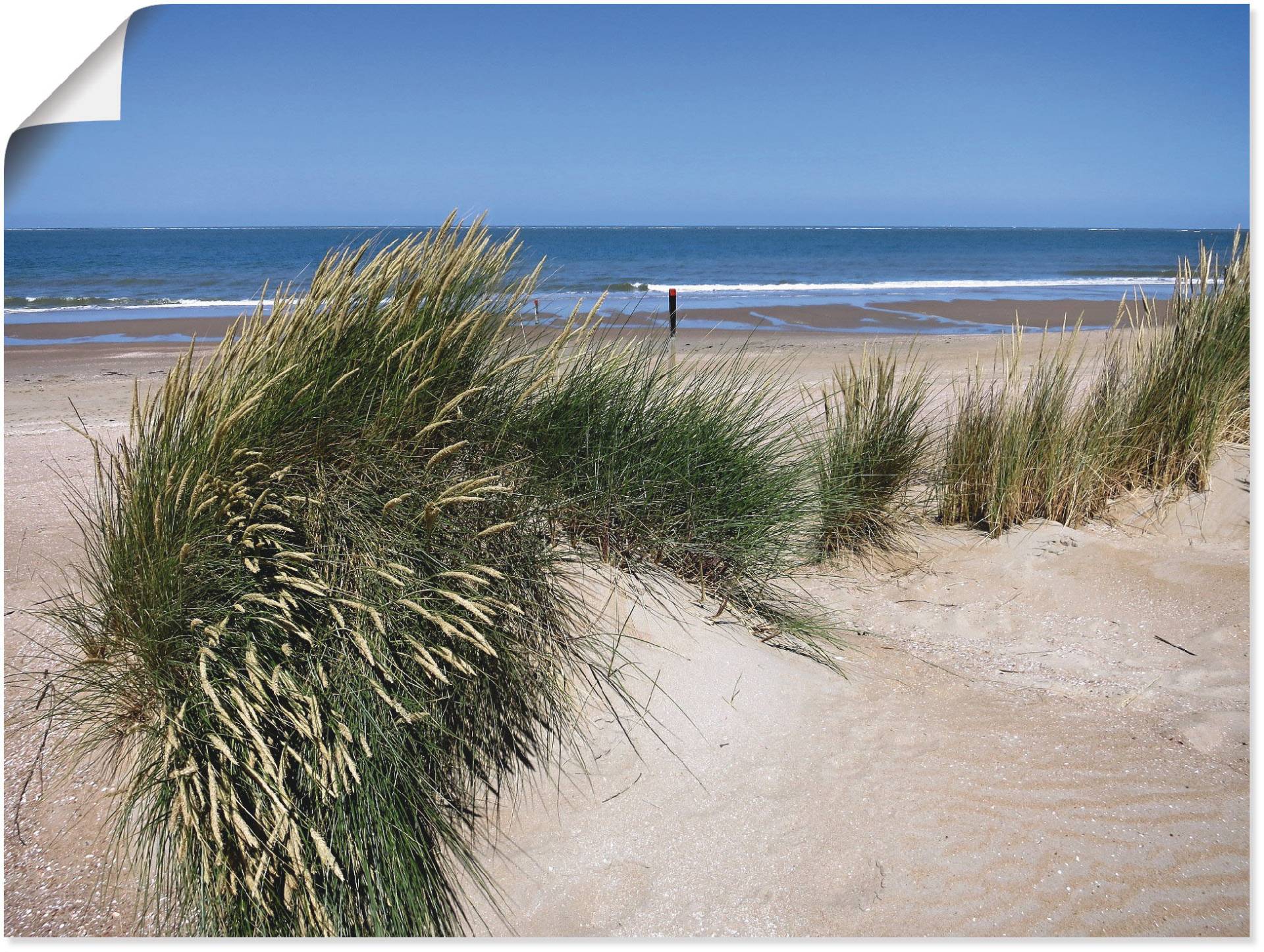 Artland Wandbild »wellige Dünenlandschaft«, Strand, (1 St.), als Alubild, Leinwandbild, Wandaufkleber oder Poster in versch. Grössen von Artland