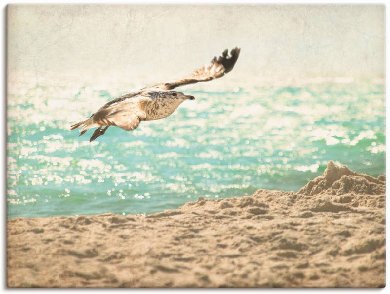 Artland Wandfolie »Der Flug der Möwe«, Vögel, (1 St.), selbstklebend von Artland