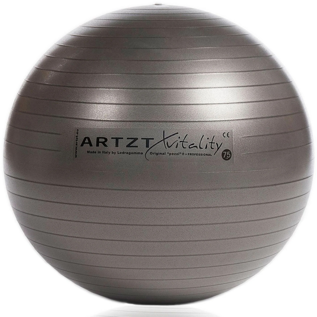 Artzt vitality Fitness-Ball Professional Artzt vitality Fitness-Ball Professional von Artzt Vitality