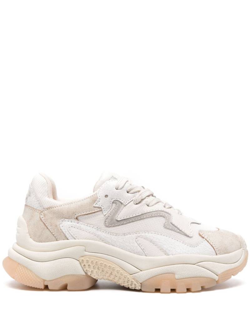 Ash Addict sneakers - Neutrals von Ash