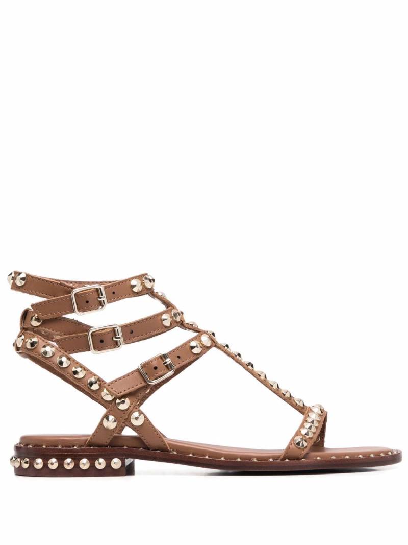 Ash Ariel rockstud-embellished sandals - Brown von Ash