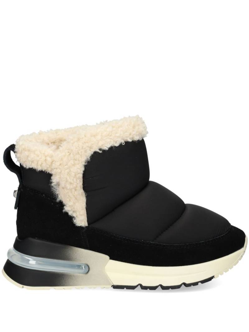 Ash Koala ankle boots - Black von Ash